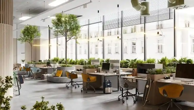 Hinh Anh Van Phong 5