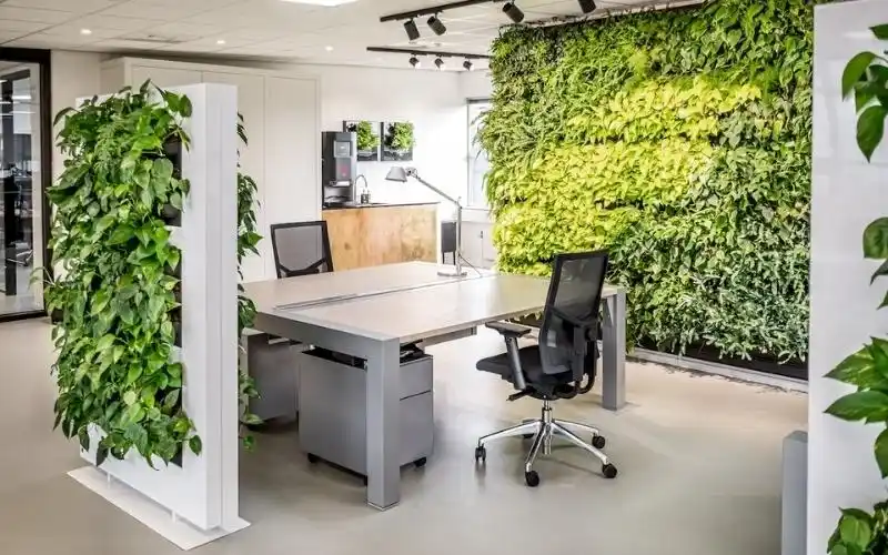 Hinh Anh Van Phong 8